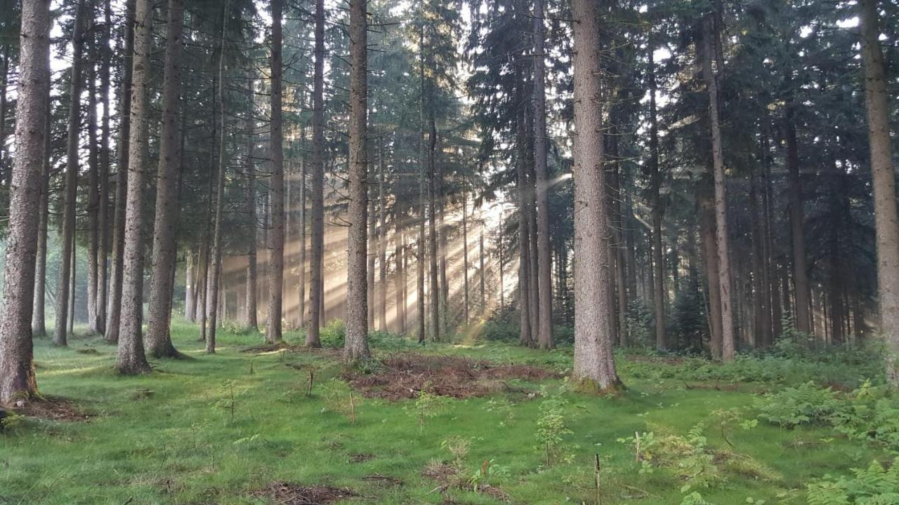 Kuckuckstraum Leilighet Schönwalde Eksteriør bilde